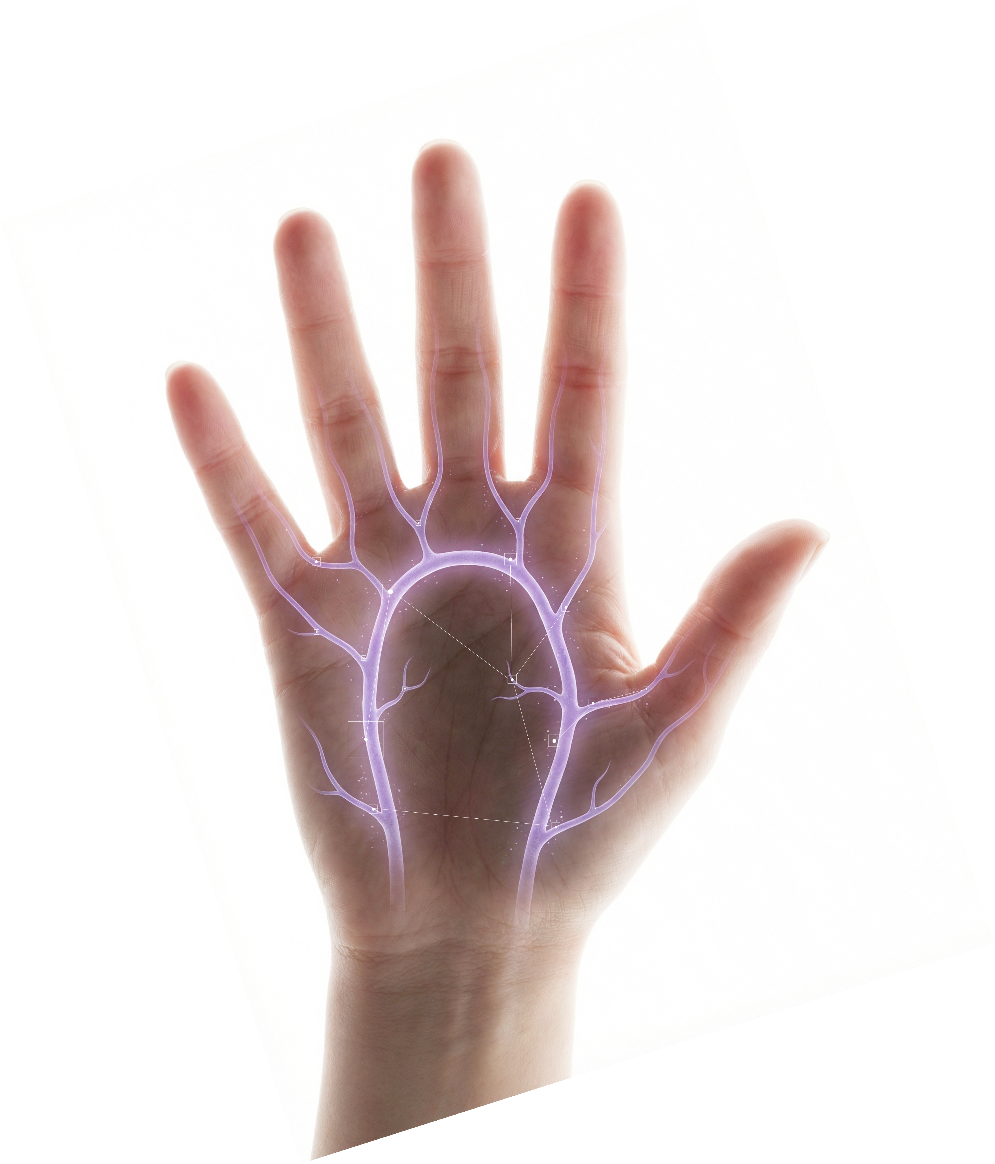 Palm Vein Technology: The Safer, Easier Way to Unlock Your Home