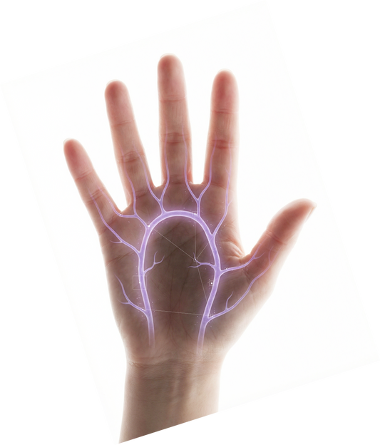Palm Vein Technology: The Safer, Easier Way to Unlock Your Home