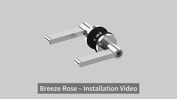 Breeze Rose – Installation Video