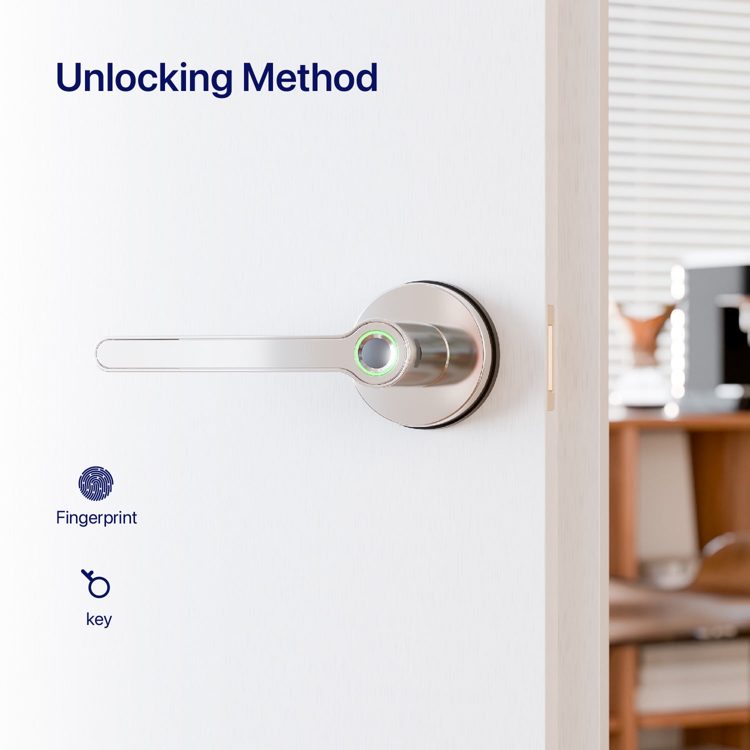 Blusafe Breeze Rose Fingerprint Door Handle — Black, Chrome or Satin Chrome product image