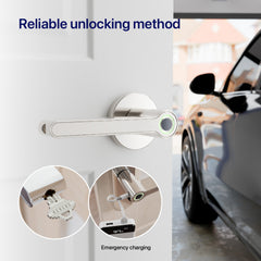 Blusafe Breeze Rose Fingerprint Door Handle — Black, Chrome or Satin Chrome product image
