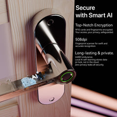 Blusafe Breeze Rose Fingerprint Door Handle — Black, Chrome or Satin Chrome product image
