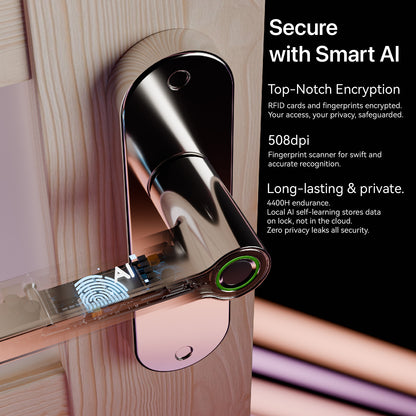 Blusafe Breeze Rose Fingerprint Door Handle — Black, Chrome or Satin Chrome product image