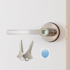 Blusafe Breeze Rose Fingerprint Door Handle — Black, Chrome or Satin Chrome product image