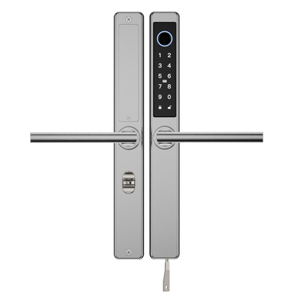 Blusafe Origin Smart Plus Smart Handle — Black, Frosted Silver or Mirror Silver - Frosted Silver