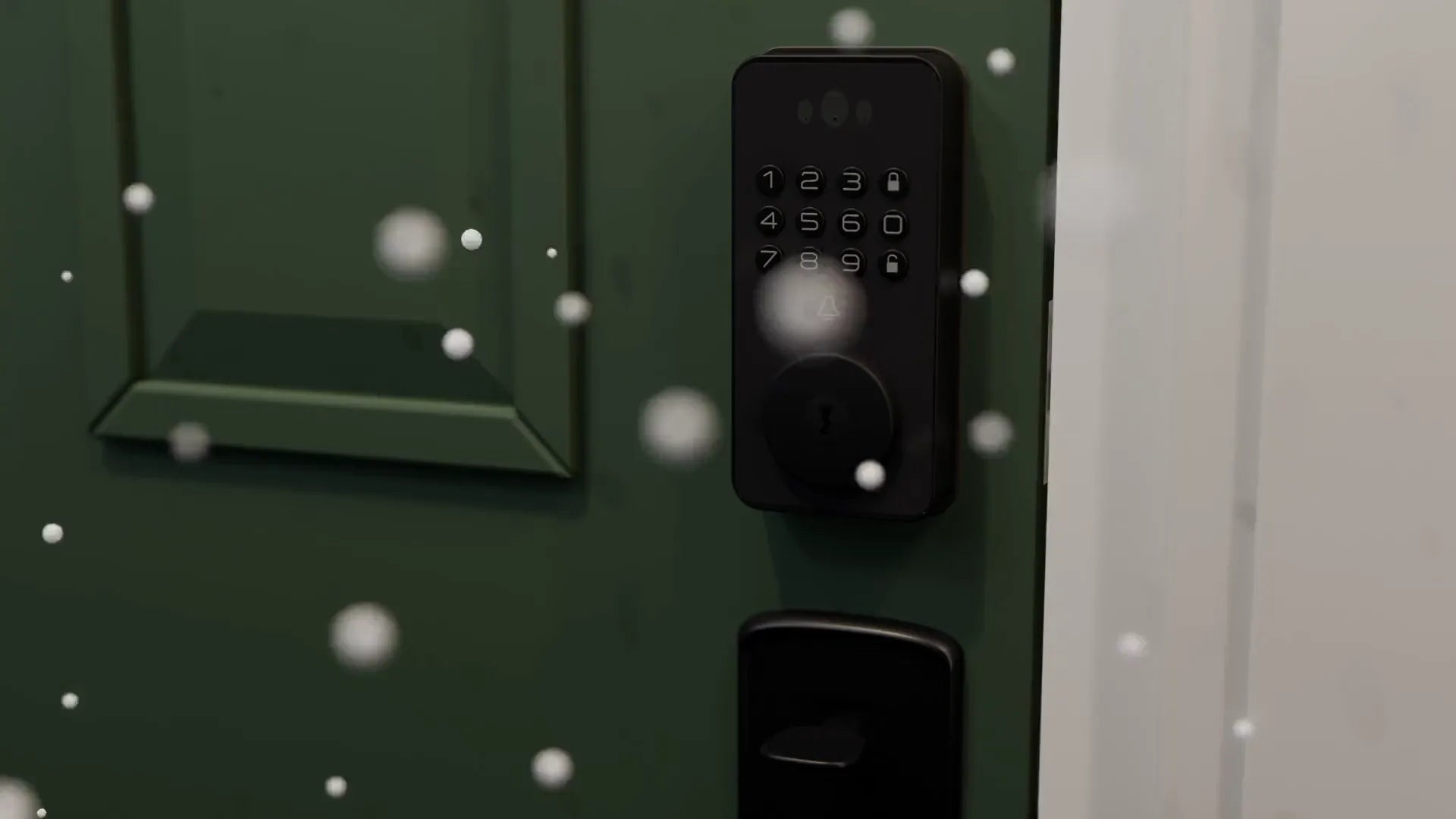 Snow falls past Venix on a green front door at night
